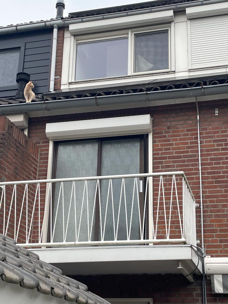 montage kozijn met dubbele deuren oude situatie